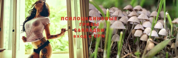 скорость Алексин