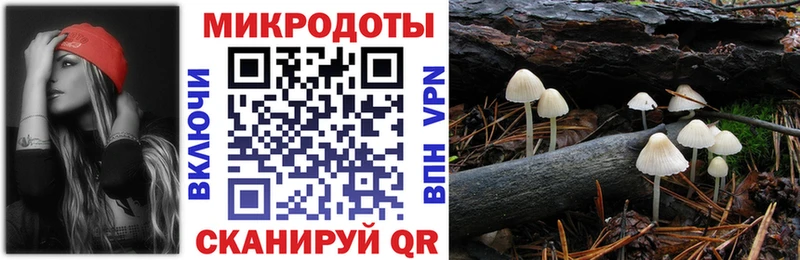 мега рабочий сайт  купить наркотик  Нытва  Псилоцибиновые грибы Cubensis 